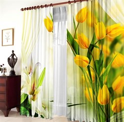 ФОТОТЮЛЬ "БЛАГОПОЛУЧИЕ" - фото 12968